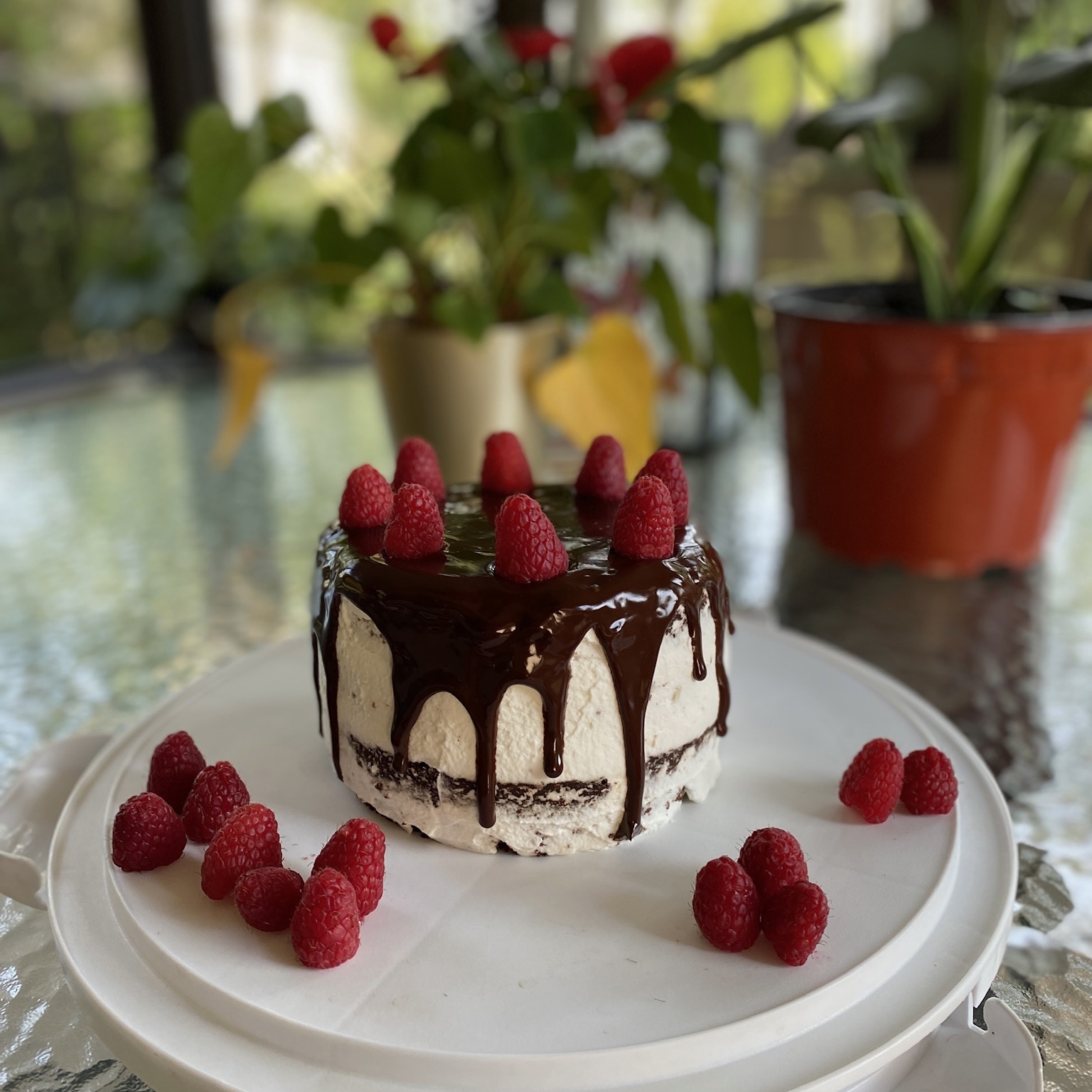A 6 inch cake with raspberries.